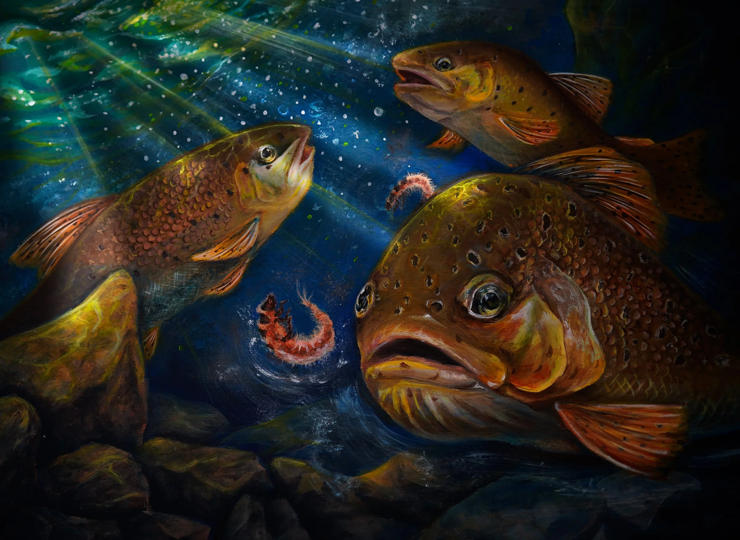 2024 - Fish Art 1st Place | Discover Top Fish Art — Art of